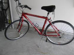 R13 ワイトレックシンス R13WD065 D306A Parts & Accessories - Trek Bicycle Store | Anchorage, Alaska