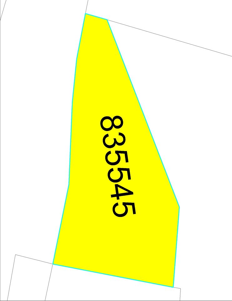 Absolute Auctions & Realty