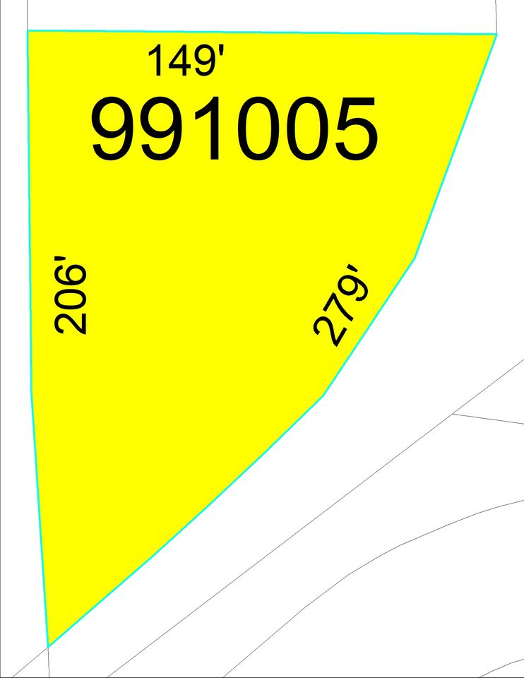 Absolute Auctions & Realty