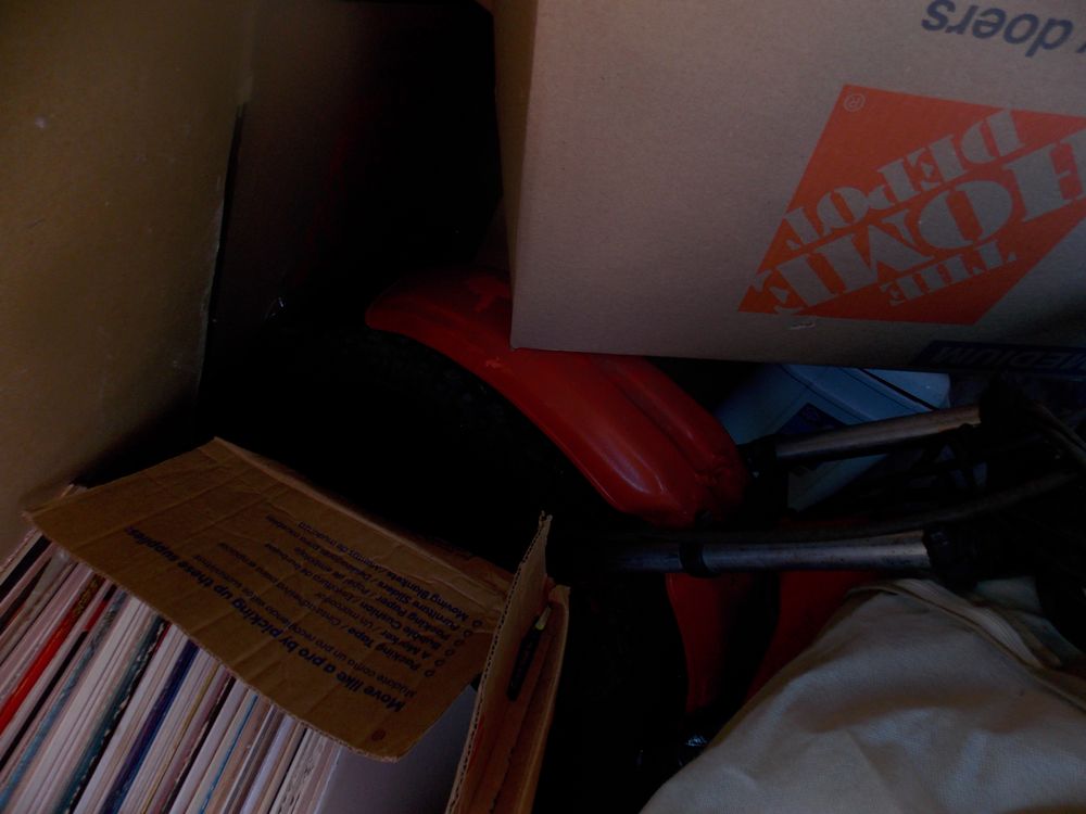 Absolute Auctions & Realty