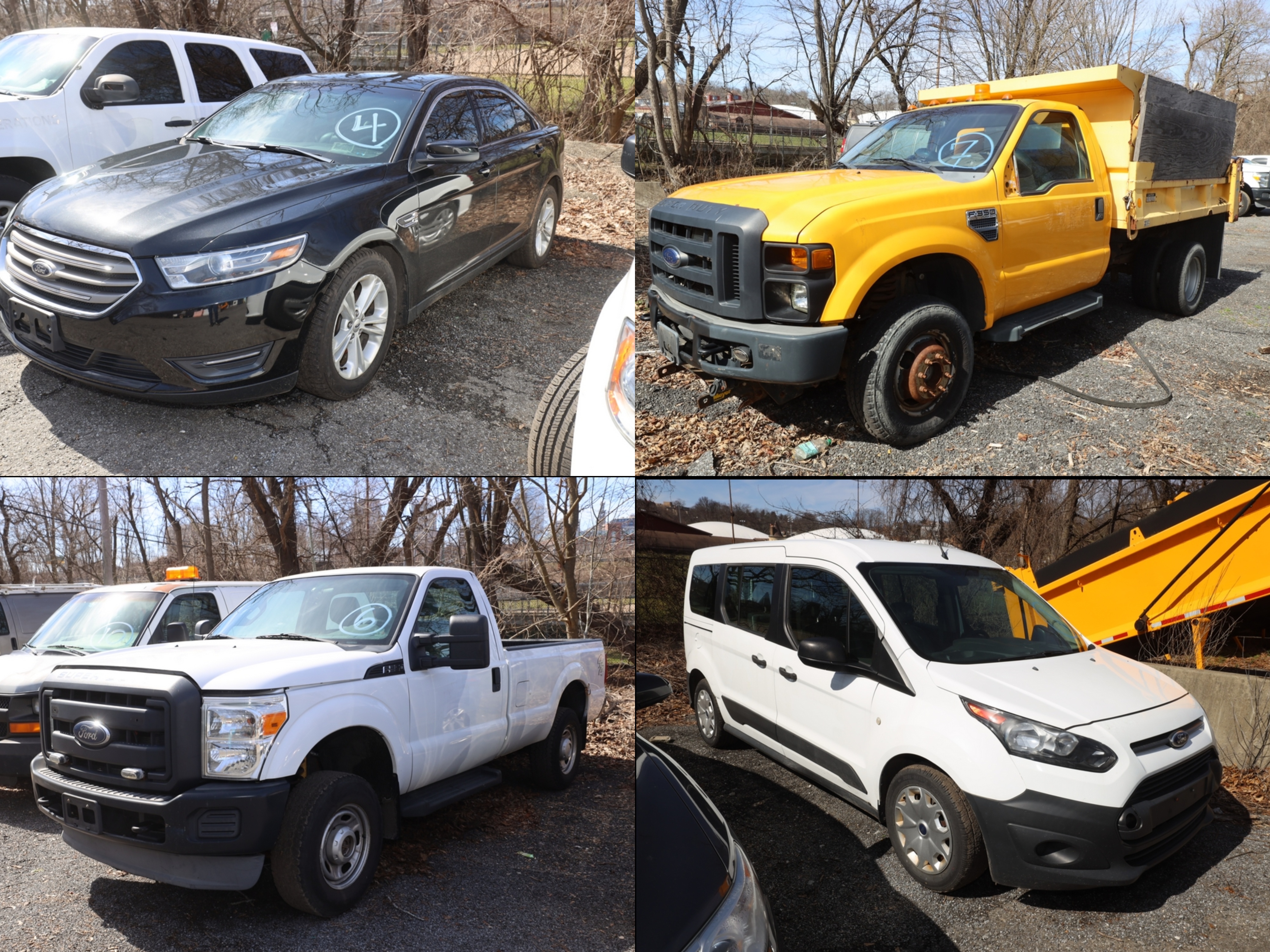 Vehicle and Equipment Auctions