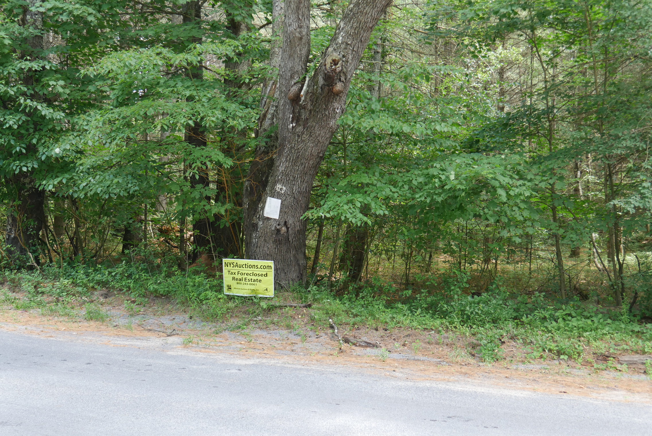 Fowlerville Rd