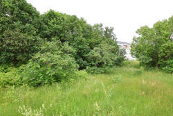 13_13