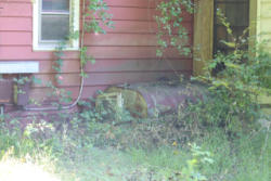 1_36